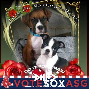 Meet your Posher, Darlene